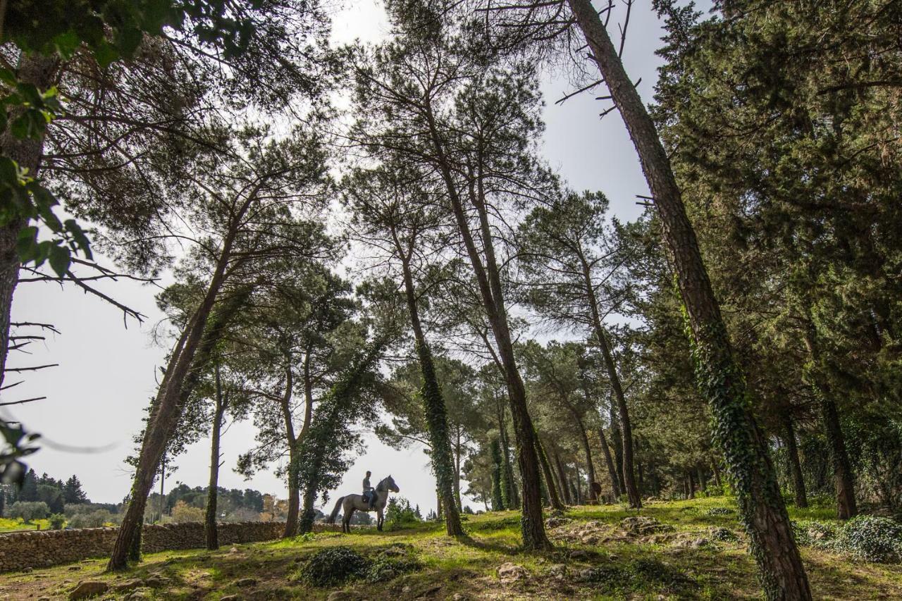 Casale Dei Pini - Nature Alojamento de Turismo Rural Martina Franca